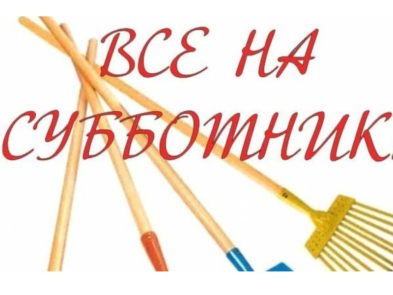 Субботник в д. Лопыдино.
