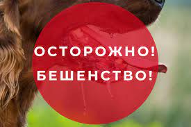 Бешенство у животных.